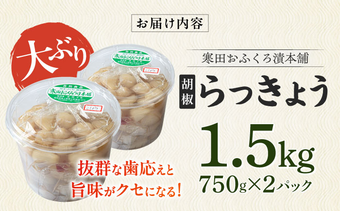 【8月発送予約】らっきょう 1.5kg（こしょう）　《築上町》【寒田おふくろ漬本舗】 [ABDO003]