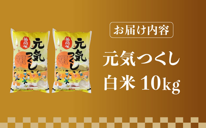 【令和5年産】福岡県産ブランド米「元気つくし」白米 10kg (5kg×2袋)《築上町》【株式会社ゼロプラス】 [ABDD003] 21000円 2万1千円