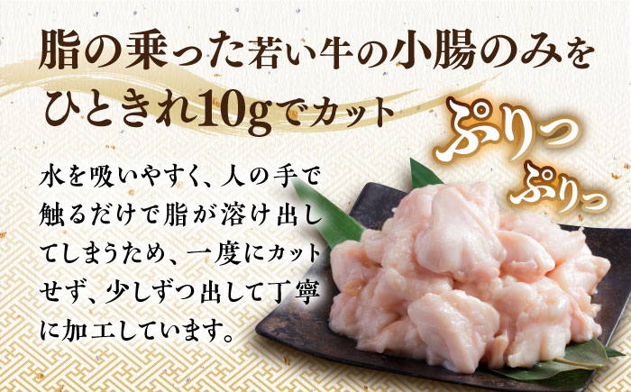 【年間100万食販売！】博多もつ鍋おおやま もつ鍋 しょうゆ味 2人前《築上町》【株式会社ラブ】 [ABDJ001] 11000円  11000円 