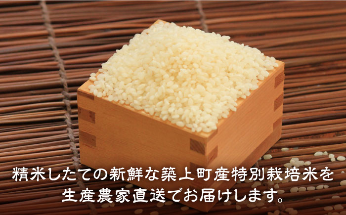 【先行予約・令和6年産新米】特別栽培米 ミルキークイーン & 夢つくし 1.5kg 食べ比べ セット 《築上町》【Nouhan農繁】 米 白米 お米 [ABAU008] 9000円 9千円 9000円 9千円