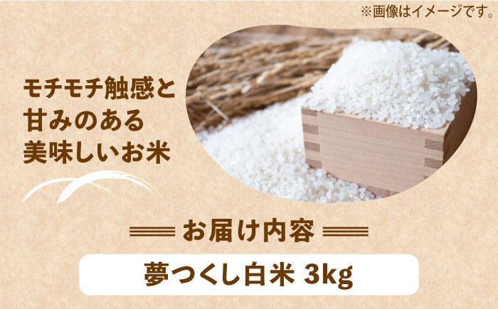 【令和6年産新米】【先行予約】ひかりファーム の 夢つくし 3kg【2024年10月以降順次発送】《築上町》【ひかりファーム】 [ABAV003] 12000円 1万2千円 12000円 1万2千円