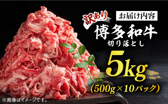 【訳あり】博多和牛 切り落とし 5kg(500g×10p）《築上町》【株式会社MEAT PLUS】 [ABBP066] 45000円  45000円 