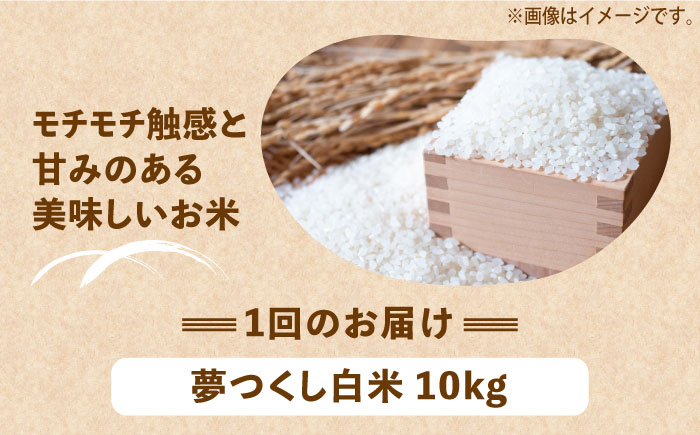 【全6回定期便】【令和6年産新米】【先行予約】 ひかりファーム の 夢つくし 10kg【2024年10月以降順次発送】《築上町》【ひかりファーム】 [ABAV020] 130000円 13万円 130000円 13万円