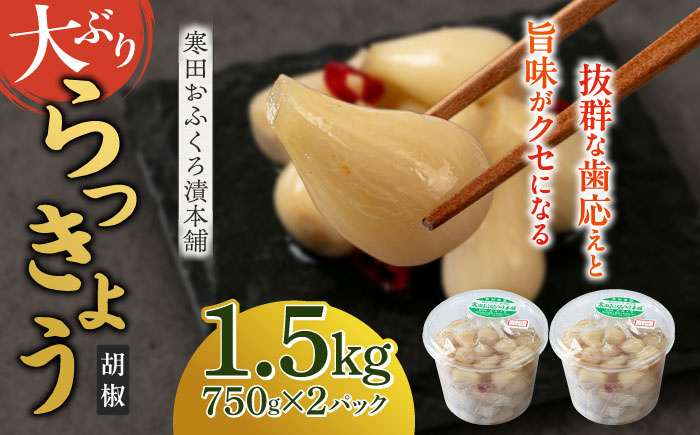 【8月発送予約】らっきょう 1.5kg（こしょう）　《築上町》【寒田おふくろ漬本舗】 [ABDO003]