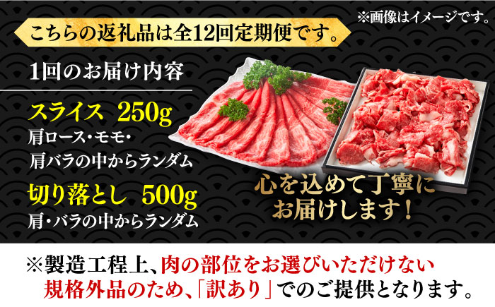 【全12回定期便】【訳あり】博多和牛 しゃぶしゃぶ すき焼き 750gセット《築上町》【株式会社MEAT PLUS】 [ABBP087] 132000円  132000円 