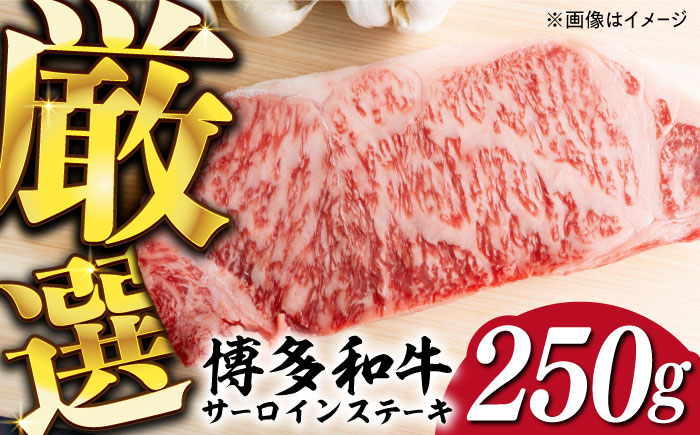 【厳選部位使用！】博多和牛 A4〜A5 サーロイン ステーキ 250g×1枚《築上町》【株式会社MEAT PLUS】 [ABBP006] 10000円  10000円 