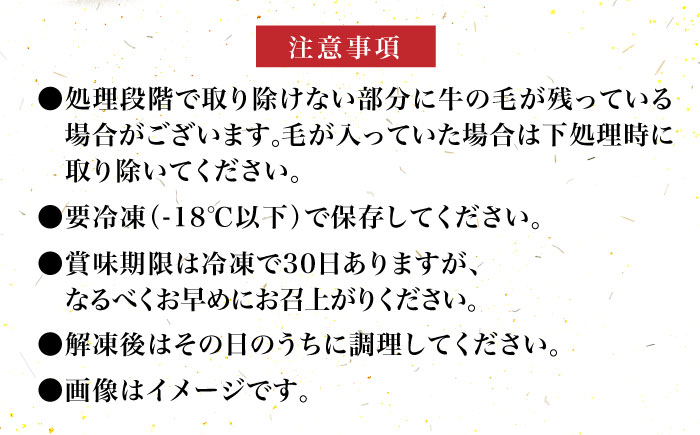 【全6回定期便】【化粧箱入】博多和牛 牛すじ切落し 1kg《築上町》【株式会社マル五】 [ABCJ115] 68000円 6万8千円