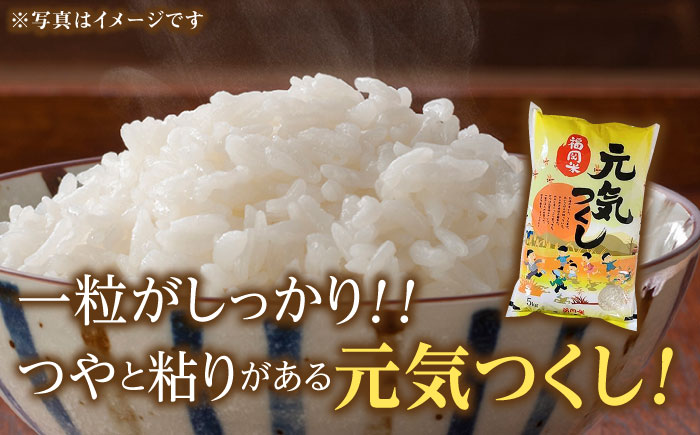 【令和5年産】福岡県産米食べ比べ「夢つくし」と「元気つくし」セット  無洗米  計10kg《築上町》【株式会社ゼロプラス】 [ABDD014] 21000円 2万1千円