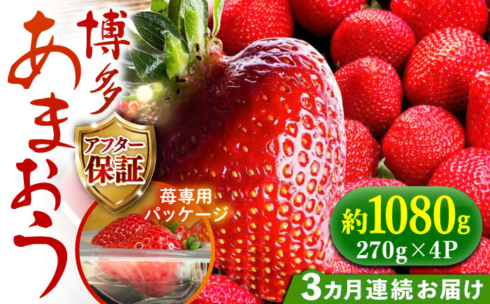 【全3回定期便】【2025年2月〜お届け】農家直送 朝採り新鮮いちご【博多あまおう】約270g×4パック《築上町》【株式会社H&Futures】 [ABDG006] 36000円  36000円 