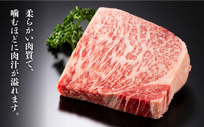 【訳あり】博多和牛 サーロイン ステーキ セット 5kg（250g×20枚）《築上町》【株式会社MEAT PLUS】 [ABBP065] 190000円 19万円 190000円 19万円