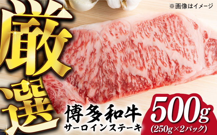 【溢れる肉汁と濃厚な旨味】博多和牛 サーロイン ステーキ セット 500g（250g×2枚）《築上町》【株式会社MEAT PLUS】 [ABBP013] 18000円  18000円 