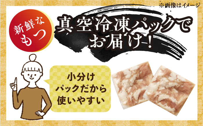 博多 味噌 もつ鍋 10人前《築上町》【株式会社MEAT PLUS】 [ABBP008] 14000円  14000円 