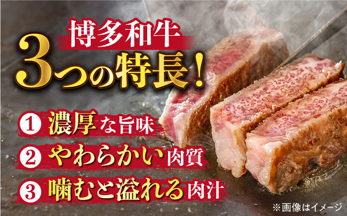 【溢れる肉汁と濃厚な旨味】博多和牛 サーロイン ステーキ セット 500g（250g×2枚）《築上町》【株式会社MEAT PLUS】 [ABBP013] 20000円 2万円