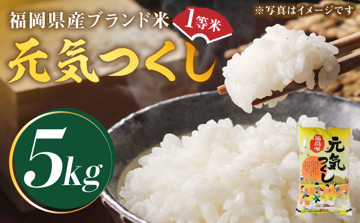 【令和5年産】福岡県産ブランド米「元気つくし」白米 5kg《築上町》【株式会社ゼロプラス】 [ABDD001] 12000円 1万2千円