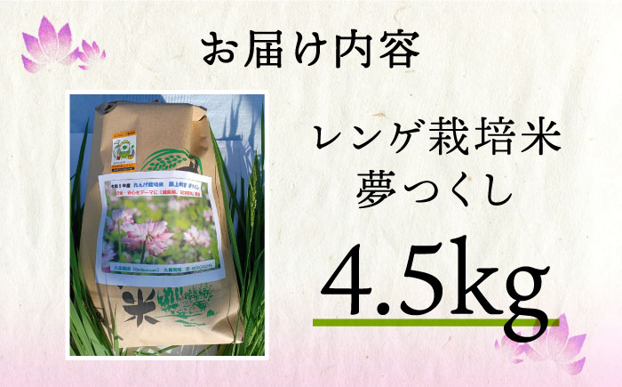 【先行予約】レンゲ栽培米 夢つくし 4.5kg 【2024年10月以降順次発送】《築上町》【久楽農園】 [ABAT001] 9000円 9千円