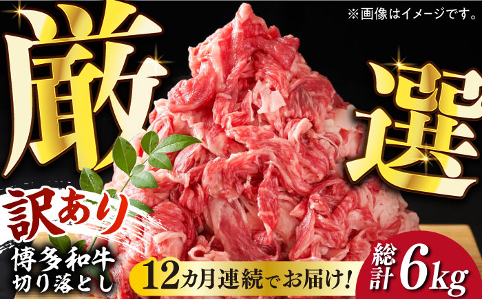 [全12回定期便][和牛の旨味を堪能!]博多和牛切り落とし500g[築上町][株式会社MEAT PLUS] [ABBP044] 98000円 98000円