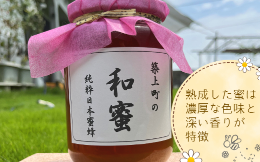 【福岡県築上町産】上村さん家の はちみつ 「 築上町の 和蜜 」300g《築上町》【上村　忍】 日本 蜜蜂 にほん みつばち [ABBX001] 11000円  11000円 