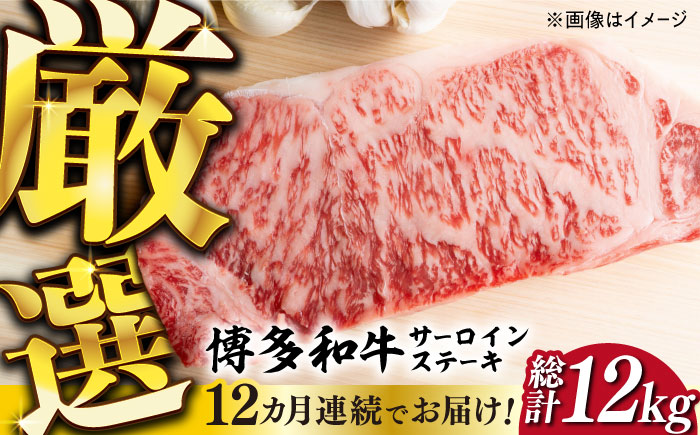 【全12回定期便】【溢れる肉汁と濃厚な旨味】博多和牛サーロイン1kg（250g×4枚）《築上町》【株式会社MEAT PLUS】 [ABBP053] 360000円 36万円 360000円 36万円