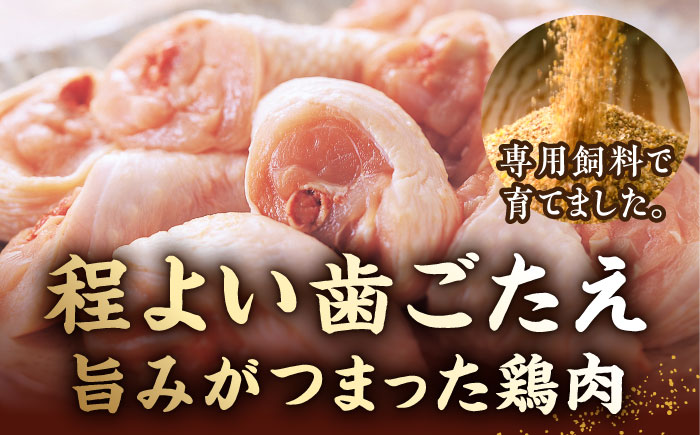 【全6回定期便】博多華味鳥 水炊き＆もつ鍋 セット 6〜8人前 《築上町》【トリゼンフーズ】博多 福岡 鍋 鶏 水たき みずたき もつ もつ鍋 [ABCN019] 119000円 11万9千円