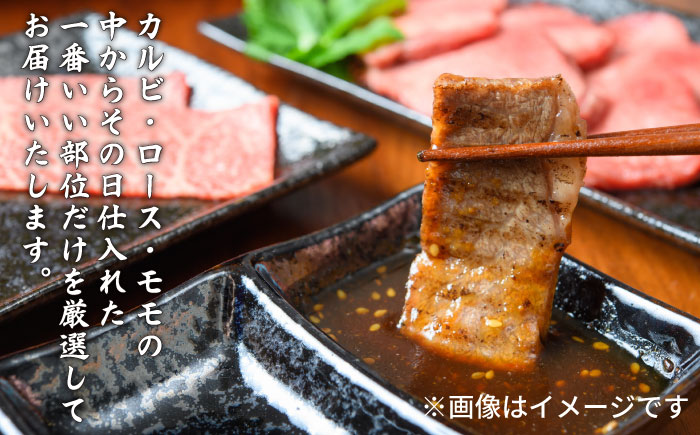 【3回定期便】博多和牛 贅沢定期便 《築上町》【株式会社MEAT PLUS】 [ABBP115] 65000円 6万5千円