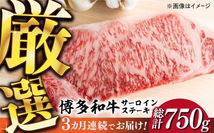 [全3回定期便][厳選部位使用!]博多和牛サーロインステーキ250g×1枚[築上町][株式会社MEAT PLUS] [ABBP045] 33000円 33000円