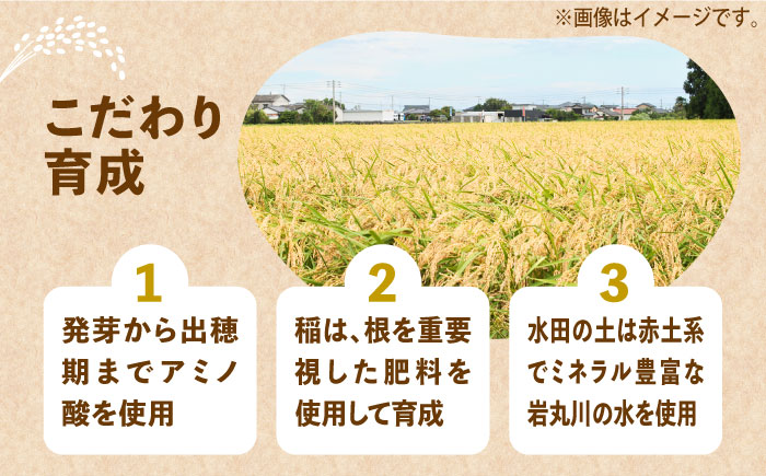 【全3回定期便】【令和6年産新米】【先行予約】 ひかりファーム の 夢つくし 10kg【2024年10月以降順次発送】《築上町》【ひかりファーム】 [ABAV035] 65000円 65000円 