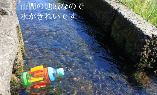 【先行予約】レンゲ栽培米 夢つくし 4.5kg 【2024年10月以降順次発送】《築上町》【久楽農園】 [ABAT001] 9000円 9千円