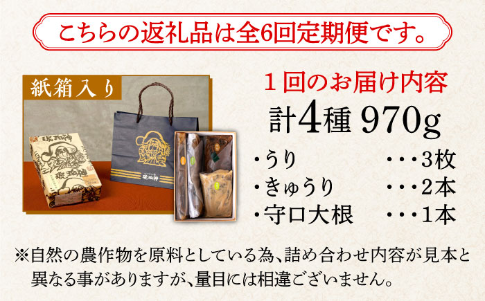 【全6回定期便】奈良漬 「琥珀漬」紙箱入り 970g【明治神宮ご奉献品】《築上町》【有限会社奈良漬さろん安部】奈良漬 奈良漬け ギフト 贈り物 贈答 [ABAE050] 90000円 