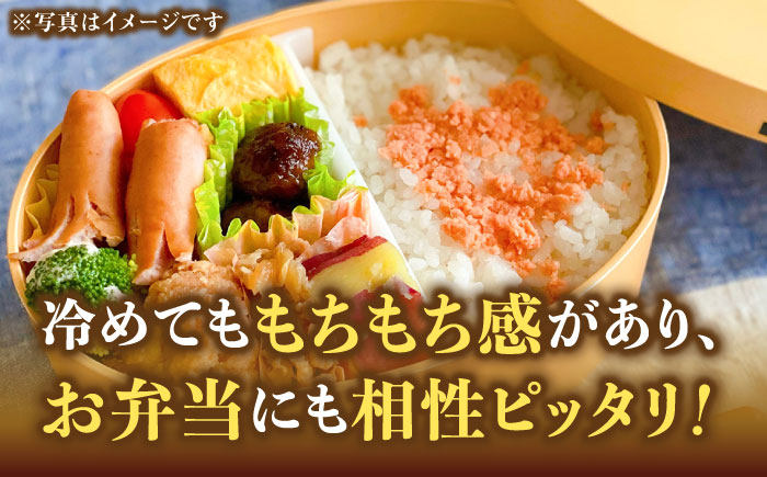 【令和5年産】福岡県産ブランド米「元気つくし」白米 5kg《築上町》【株式会社ゼロプラス】 [ABDD001] 12000円 1万2千円