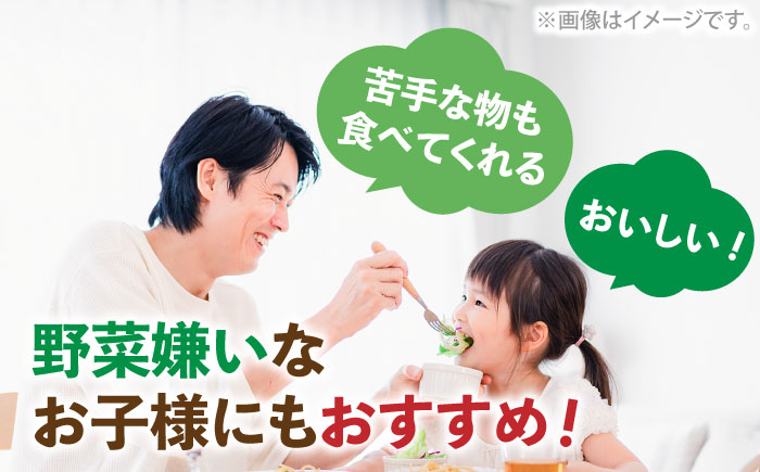 【全3回定期便】玉ねぎドレッシング の「たまっしんぐ」 プレーンお徳用サイズ2本 + ゆず1本　×3回　《築上町》【かなえ工房】 [ABAH013]