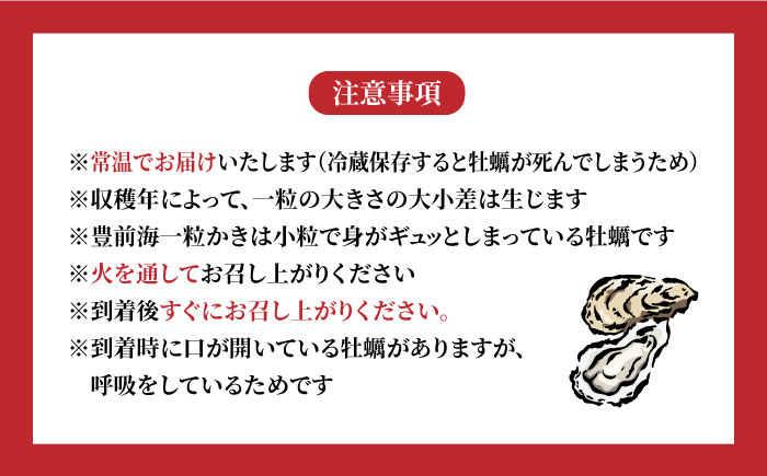 【先行予約:令和5年12月以降発送】ブランド牡蠣 「 豊前海一粒かき (しいだ小粒がき)」 中サイズ 3kg《築上町》【築上町蓄養殖部会】 [ABAY004] 9000円 9千円 9000円 9千円