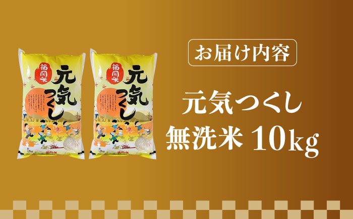 【令和5年産】福岡県産ブランド米「元気つくし」無洗米 10kg (5kg×2袋)《築上町》【株式会社ゼロプラス】 [ABDD004] 21000円 2万1千円