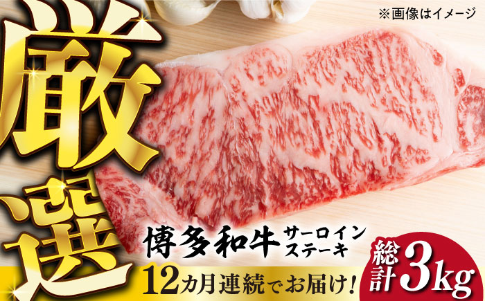 【全12回定期便】【厳選部位使用！】博多和牛サーロインステーキ250g×1枚《築上町》【株式会社MEAT PLUS】 [ABBP047] 132000円  132000円 