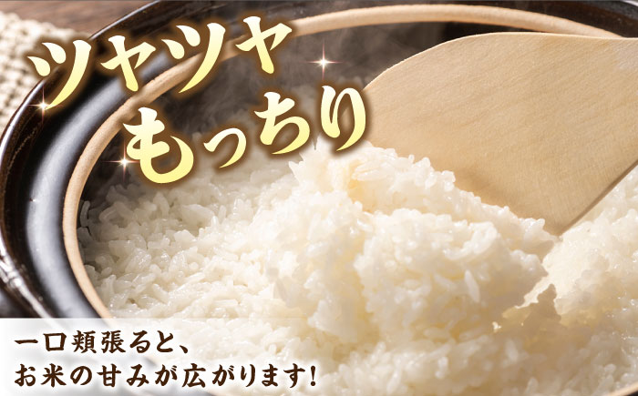 全12回定期便】【令和4年産】福岡県産米 夢つくし 5kg×2袋《築上町