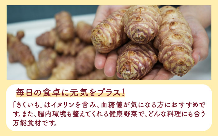 【全3回定期便】焙煎 築上きくいも茶 3g×15包 《築上町》【合同会社豊築マルシェモンステラ】 菊芋 お茶 [ABBZ017] 16000円 1万6千円