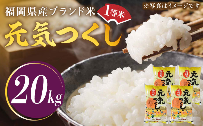 【令和5年産】福岡県産ブランド米「元気つくし」白米 20kg (5kg×4袋)《築上町》【株式会社ゼロプラス】 [ABDD005] 41000円 4万1千円