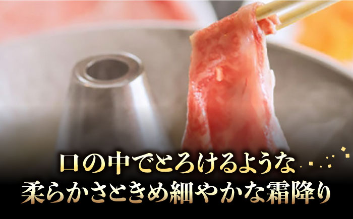 【博多和牛】特選しゃぶしゃぶ用 (400g)《築上町》【株式会社ゼロプラス】 [ABDD047] 31000円 3万1千円