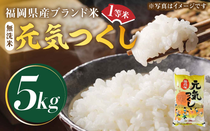 【令和5年産】福岡県産ブランド米「元気つくし」無洗米 5kg《築上町》【株式会社ゼロプラス】 [ABDD002] 12000円 1万2千円