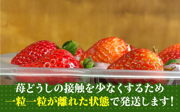 【2025年2月1日より順次発送】農家直送 朝採り新鮮いちご【博多あまおう】約270g×4《築上町》【株式会社H&Futures】 [ABDG004] 13000円 1万3千円