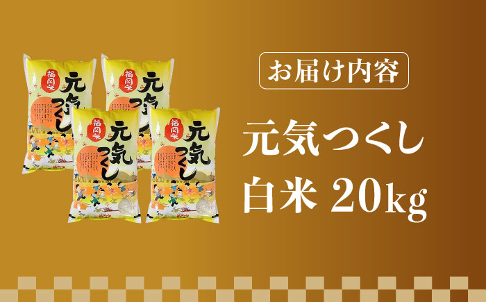 【令和5年産】福岡県産ブランド米「元気つくし」白米 20kg (5kg×4袋)《築上町》【株式会社ゼロプラス】 [ABDD005] 41000円 4万1千円