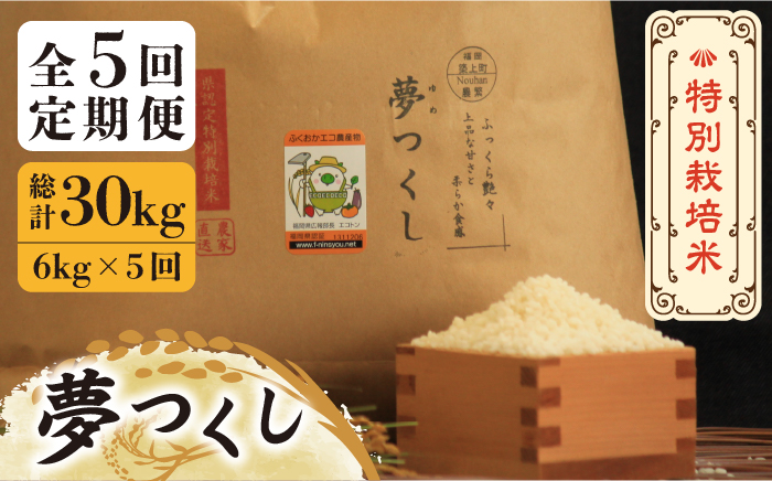 【全5回定期便】【先行予約・令和6年産】特別栽培米 夢つくし 6kg 《築上町》【Nouhan農繁】 米 白米 お米 [ABAU027] 60000円 6万円 60000円 6万円