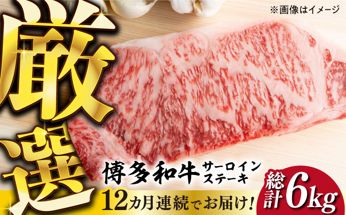 【全12回定期便】【溢れる肉汁と濃厚な旨味】博多和牛サーロインステーキセット 500g(250g×2枚)《築上町》【株式会社MEAT PLUS】 [ABBP032] 216000円 216000円 