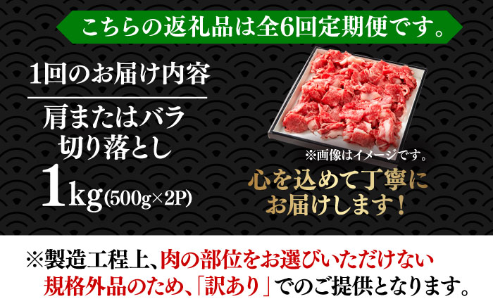 【全6回定期便】【たっぷり大容量！】博多和牛 切り落とし 1000g(500ｇ×2Ｐ）《築上町》【株式会社MEAT PLUS】 [ABBP028] 66000円  66000円 