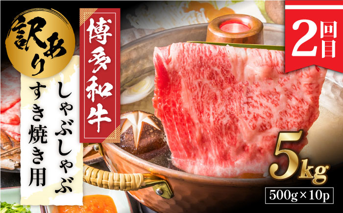 【3回定期便】【大人数のご家庭に】まんぷく定期便《築上町》【株式会社MEAT PLUS】 [ABBP113] 160000円 16万円 160000円 16万円