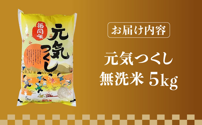 【令和5年産】福岡県産ブランド米「元気つくし」無洗米 5kg《築上町》【株式会社ゼロプラス】 [ABDD002] 12000円 1万2千円