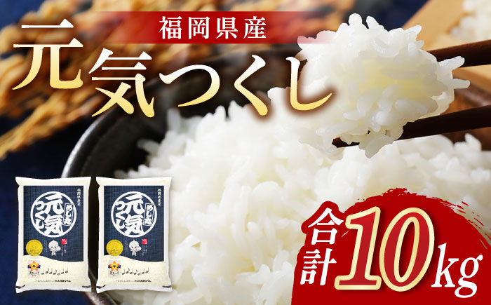 福岡元気つくし5kg×2袋《築上町》【株式会社オカベイ】 米 こめ ご飯