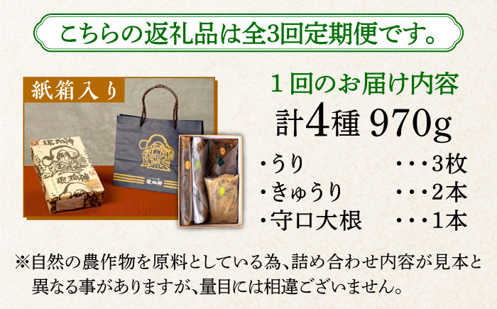 【全3回定期便】奈良漬 「琥珀漬」紙箱入り 970g【明治神宮ご奉献品】《築上町》【有限会社奈良漬さろん安部】奈良漬 奈良漬け ギフト 贈り物 贈答 [ABAE049] 45000円 