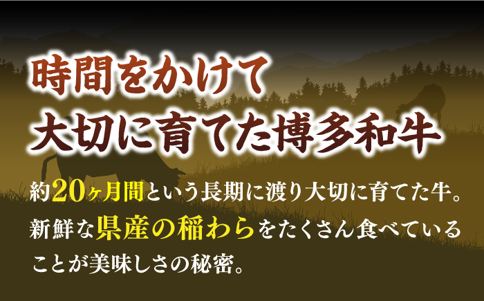 【和牛の旨味を堪能！】博多和牛 しゃぶしゃぶ すき焼き スライス 500g《築上町》【株式会社MEAT PLUS】 [ABBP009] 10000円  10000円 