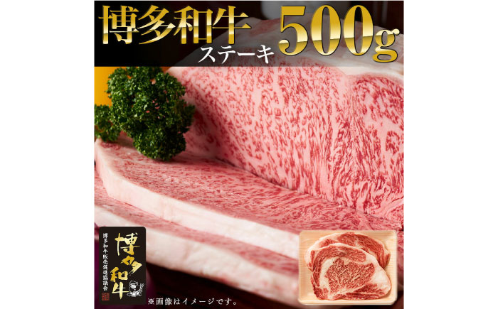 博多和牛 サーロイン ステーキ 500g （250g×2枚）《築上町》【株式会社