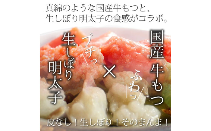 博多名物Aセット 「明太醤油もつ鍋」と「博多和牛スライス」《築上町》【株式会社ベネフィス】 [ABDF179]